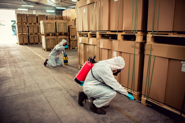 Best Emergency Pest Control  in Gillett, WI