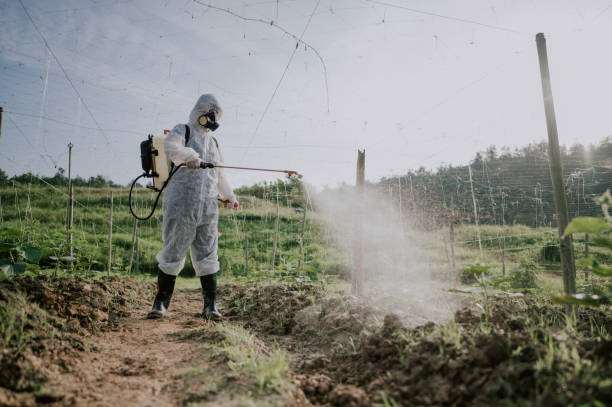 Best Ant Control Services  in Gillett, WI